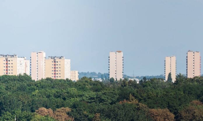 Rola rzemiosła w lokalnej społeczności
